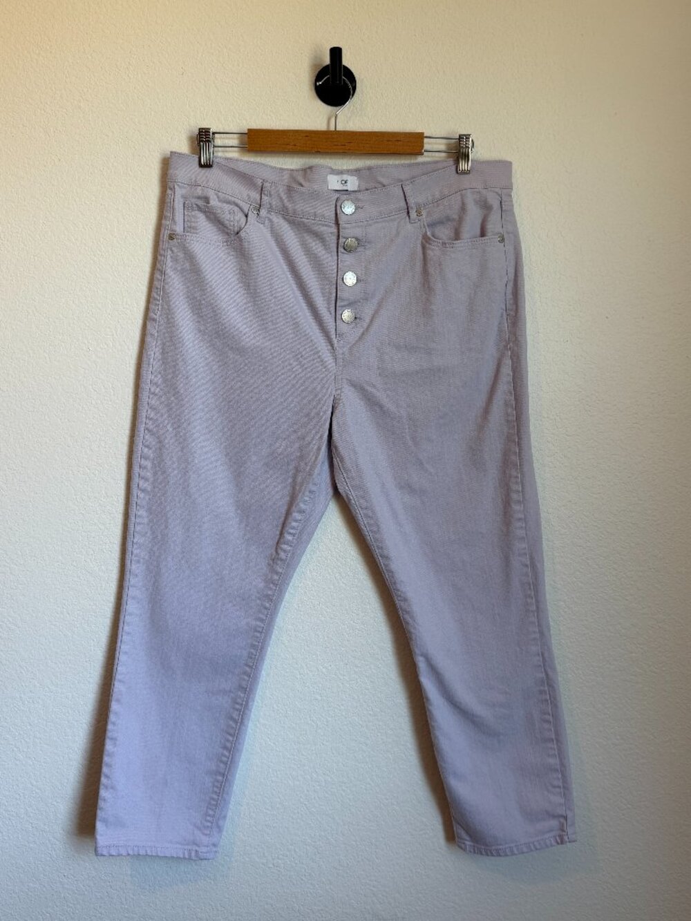 LOFT Dusty Lilac Button Front High Rise Skinny Crop Jeans 14
